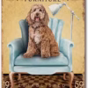 S48828dca7c73452b93dca26fc270e9cdI.jpg 960x960q75.jpg - Cockapoo Gifts UK