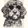 S6ddc947ebbd94be1ae6995c104a8b206R.jpg 960x960q75.jpg - Cockapoo Gifts UK