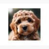 flat750x075f pad750x1000f8f8f8.u15 10 - Cockapoo Gifts UK