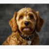 flat750x075f pad750x1000f8f8f8.u15 - Cockapoo Gifts UK