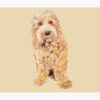 flat750x075f pad750x1000f8f8f8.u15 3 - Cockapoo Gifts UK