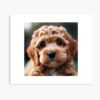 mp840x830mattef8f8f8t pad1000x1000f8f8f8 2 - Cockapoo Gifts UK