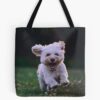 tb1040x1040large c1198800800 bgf8f8f8.u8 5 - Cockapoo Gifts UK