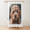 urshower curtain closedsquare1000x1000.1 10 - Cockapoo Gifts UK
