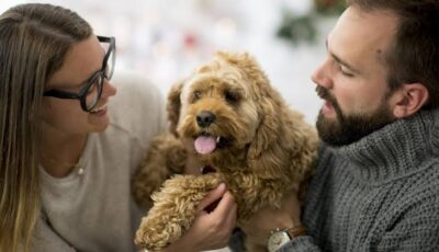 images 3 - Cockapoo Gifts UK
